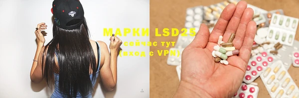 ПСИЛОЦИБИНОВЫЕ ГРИБЫ Верея