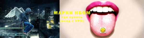 ПСИЛОЦИБИНОВЫЕ ГРИБЫ Верея