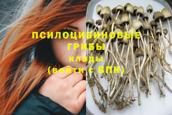 ПСИЛОЦИБИНОВЫЕ ГРИБЫ Верея
