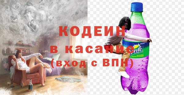 ПСИЛОЦИБИНОВЫЕ ГРИБЫ Верея