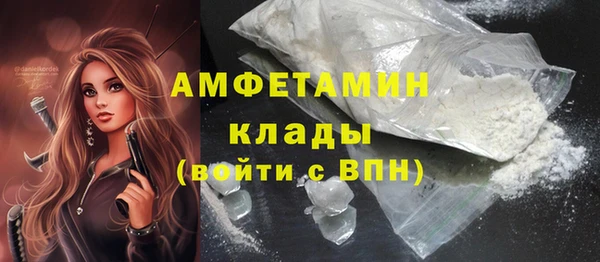 ПСИЛОЦИБИНОВЫЕ ГРИБЫ Верея
