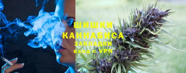 ПСИЛОЦИБИНОВЫЕ ГРИБЫ Верея