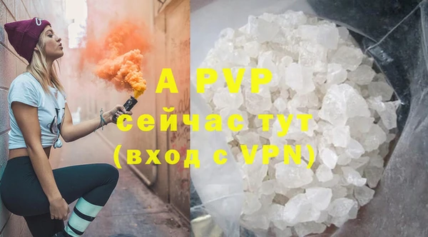 ПСИЛОЦИБИНОВЫЕ ГРИБЫ Верея